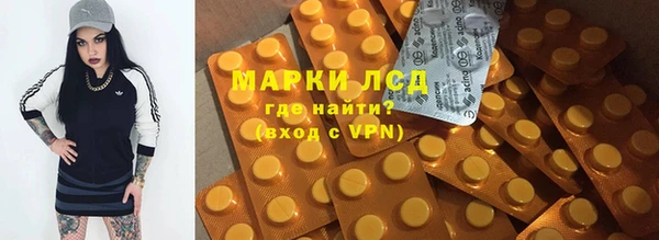ешки Аркадак