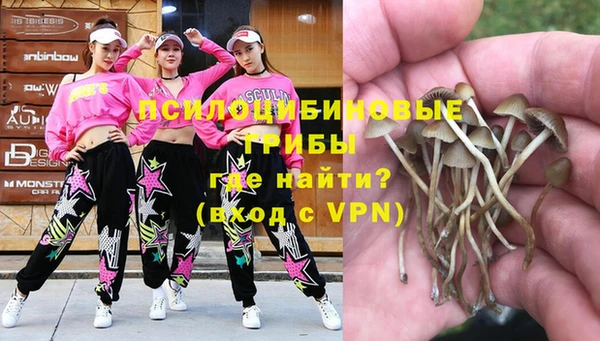 ешки Аркадак