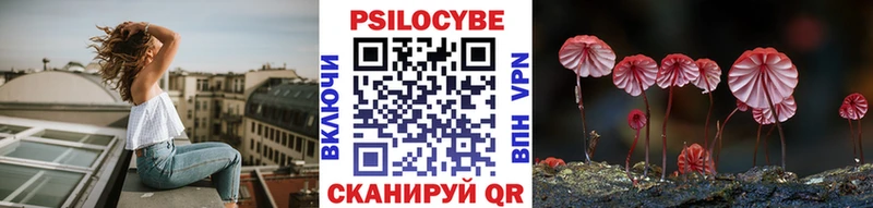 Галлюциногенные грибы Cubensis Купить Зеленокумск